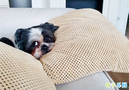女生可爱的句子朋友圈