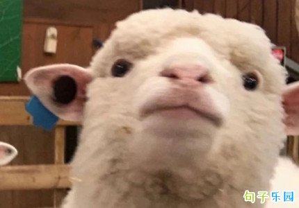 �ر�����˼�Ķ̾� ����˼�Ķ̾�ǩ��