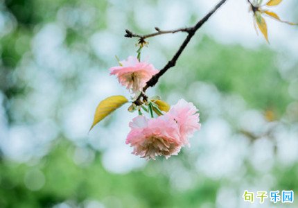 ��Ϧ����������˵˵�İ�