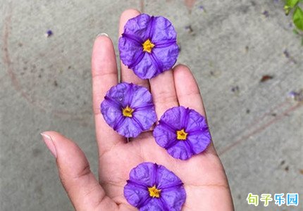 说早安的唯美句子 早安经典唯美文案