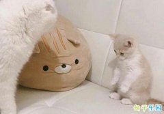 ��ѧ�����Ц��� �쿪ѧ��˵˵��Ц