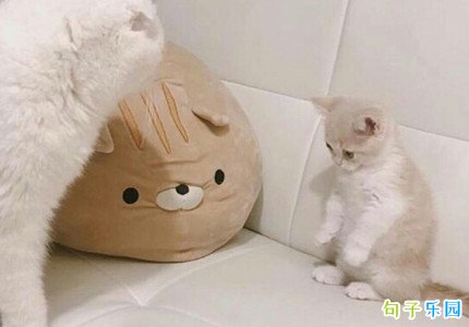 开学经典搞笑语句 快开学的说说搞笑