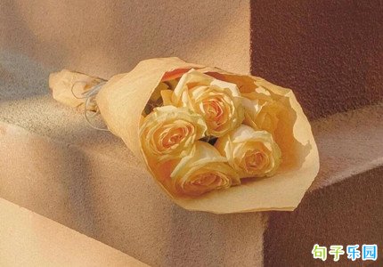 �ʺϾ��·�Ȧ���İ� ��ӭ���µĵ����̾�