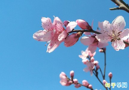 Ů���ռ�˵˵�ŷ� �ռ����Թŷ�̾�