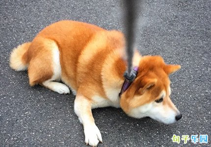 开学了不想开学的说说