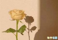 ����һ���簲����ô˵ ���µĵ�һ�����Ϻ�˵˵
