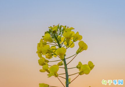 ���·�˵˵�̾� �������Լ��̾�