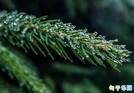关于白露节气的文案 适合白露发的句子