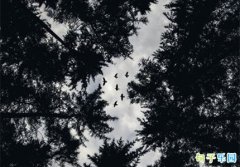 �о��ر���ʹ�Ķ̾��İ�