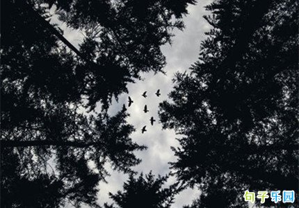 �о��ر���ʹ�Ķ̾��İ�