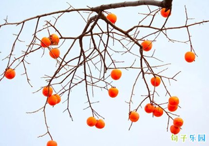 白露怎么发朋友圈好 白露朋友圈文案分享