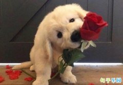 �����������ѷ����İ� �����������ѵ�˵˵�̾�
