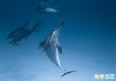 �ռ䳬��̾�˵˵ ���ж̾�ռ�˵˵