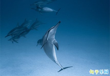 �ռ䳬��̾�˵˵ ���ж̾�ռ�˵˵
