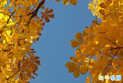 ����ʺϷ�˵˵�ľ��� ��ַ������˵��İ�