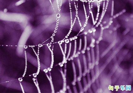 ӭ�Ӻ�¶ף���� ��¶ף�����ȫ����Ȧ