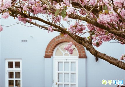 ���¶����簲���� ���������簲�İ�