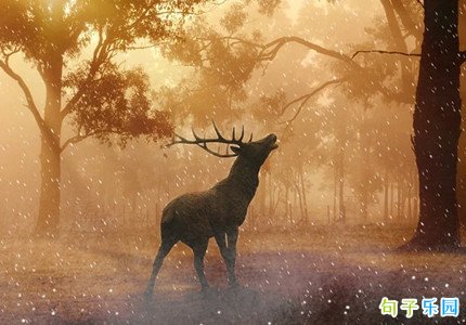 ��ѩ�ĸ߼����İ� ������ѩ��������Ȧ�İ�