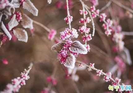 霜降吉祥祝福语 霜降天气转冷祝福语