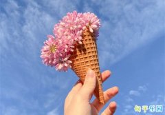 �������ĸ������̾� ���ĸ���������Ȧ�İ�