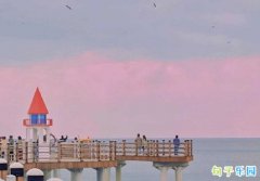 ����ʮһ���簲���� ʮһ��һ���簲����Ȧ