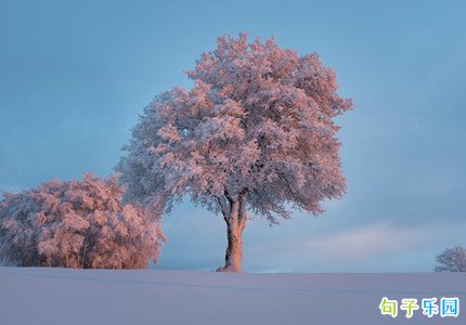 又是一年冬天祝福语 微信温暖冬天祝福语