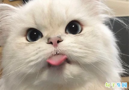 �������Ȥ��̬ �������Ȥ��˵˵����