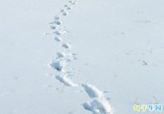 �������ٵ�����Ȧ�İ� ��������������Ȧ�İ�