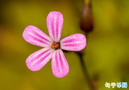 �簲��Ȧ���������� �ʺ��簲�ľ��ӷ�����Ȧ
