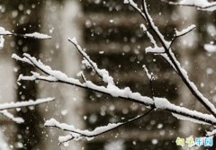 ����Сѩ˵˵ Сѩ�ڿ��Ŀ���ף����