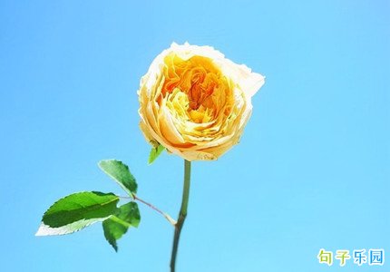 �����ж��ڶ̾� ����Ȧ�ж���˵˵�̾�