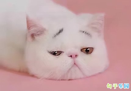 ����Цſ�Ķ̾��� 40��Ц���޵Ķ̾�