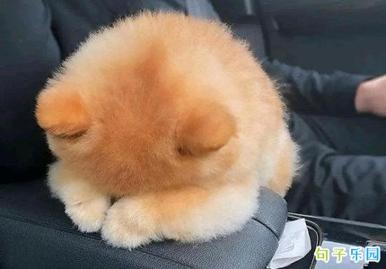 �ʺϳ��ڲ�����̬����Ƥ�İ�40��