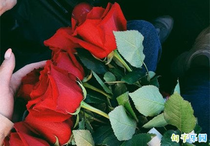 ƽ��ҹ�������ף���� ƽ��ҹף�����ȫ��Ů����33��