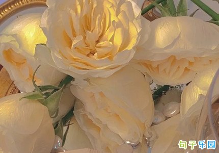 ��ů����İ��̾� ��ů�����İ���ѡ38��