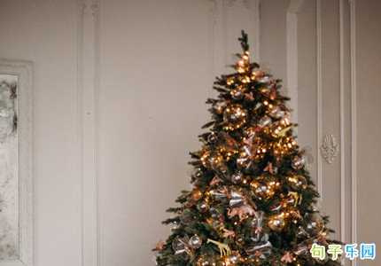 ʥ���ںؿ��黰��ȫ ʥ���ڵĶ��黰��ѡ40��