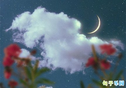 今年跨年情话 朋友圈文案跨年情话30句