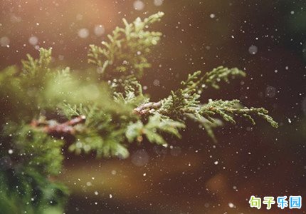 С������ף���̾� ����С���ľ���̾�