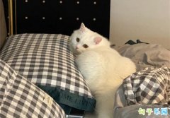 ���˽���Ĭ�İ��̾� ���˽�ף����Ц�̾�