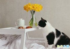 ˯ǰ����ף���� ˯ǰ˵������˵˵���