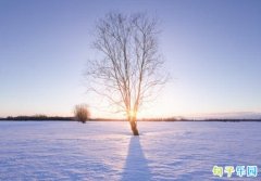 ���İ�����̾� ���մ󺮷�����Ȧ����ů�̾�