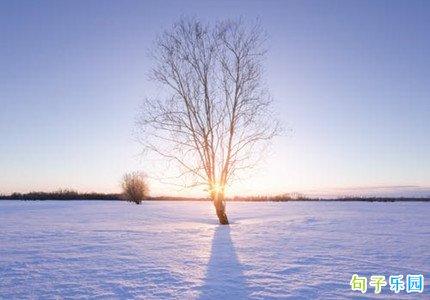 大寒文案温柔短句 今日大寒发朋友圈的温暖短句