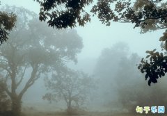 �����������˵˵ �ʺ����췢������Ȧ�İ�