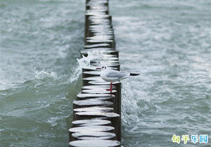 �������簲�İ� �������簲������