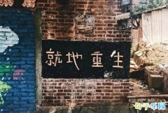 ��ȼ����Ѫ����־���İ���ѡ28��