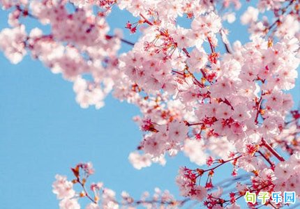 立春早安经典语录 立春早安祝福心语