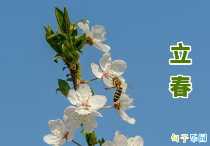 ������Ȧ�İ� 2022������̾���