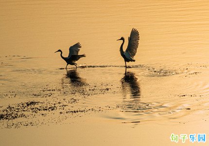 ������簲�̾����� ���ױ����޵��簲�İ�