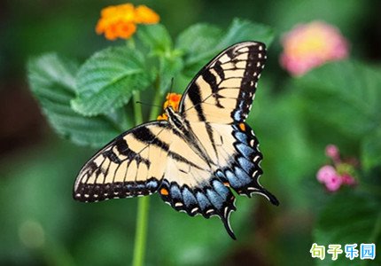 ������ů�İ� �������︴�յ�˵˵