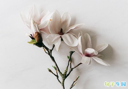 ӭ�Ӵ����İ� ���ᴺ���İ�˵˵